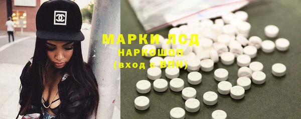 spice Богданович
