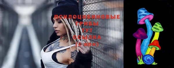 spice Богданович