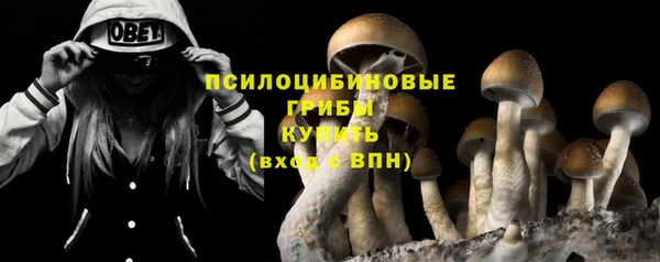 spice Богданович