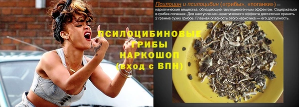прущая мука Богородицк