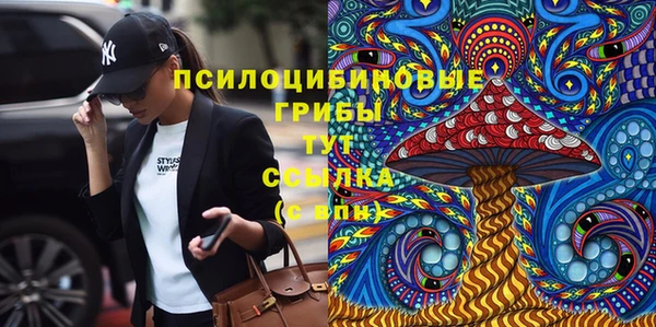 прущая мука Богородицк