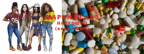 spice Богданович