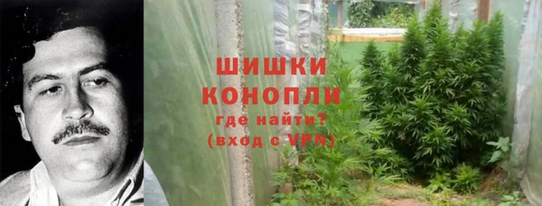 прущая мука Богородицк