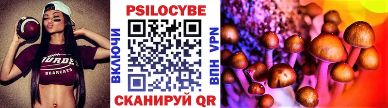 Галлюциногенные грибы Psilocybe  Купить  Подпорожье 